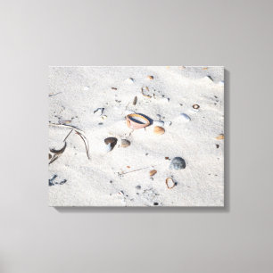 Seashells in the Sand Color 16x20 Canvas Print