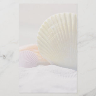 Seashells in White Sand Stationery