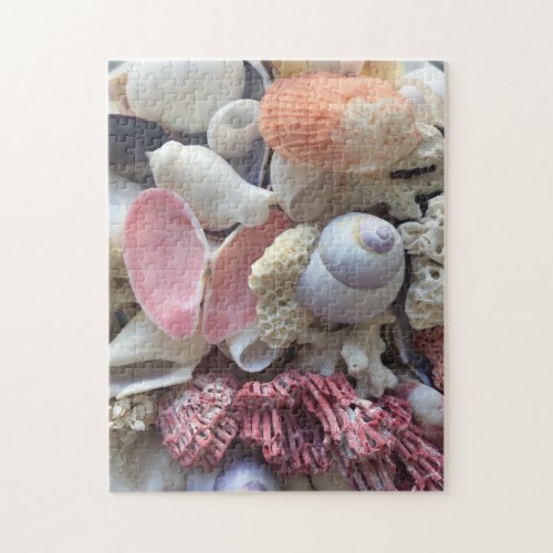 Seashells Jigsaw Puzzle