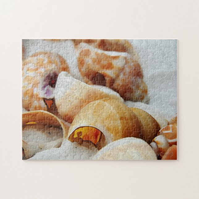 seashells jigsaw puzzle (Horizontal)