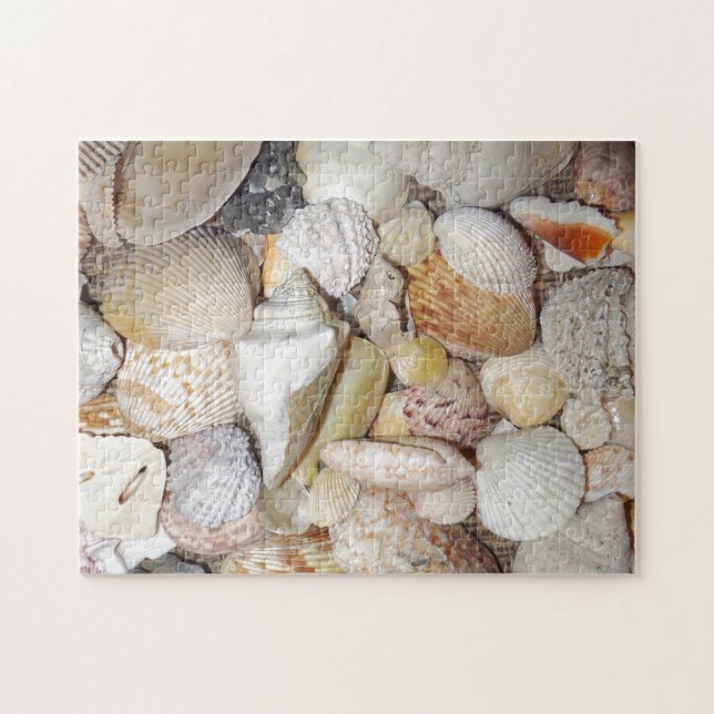 Seashells Jigsaw Puzzle (Horizontal)