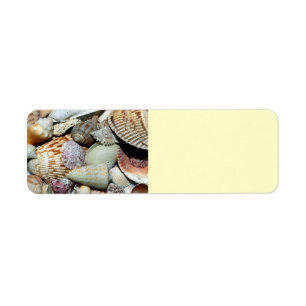 seashells label