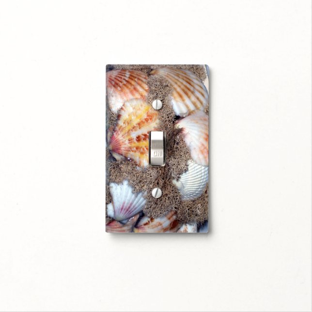 Seashells Light Switch Cover (In Situ)