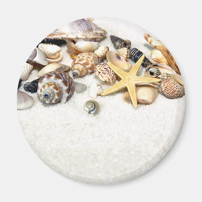 Seashells Magnet (Front)