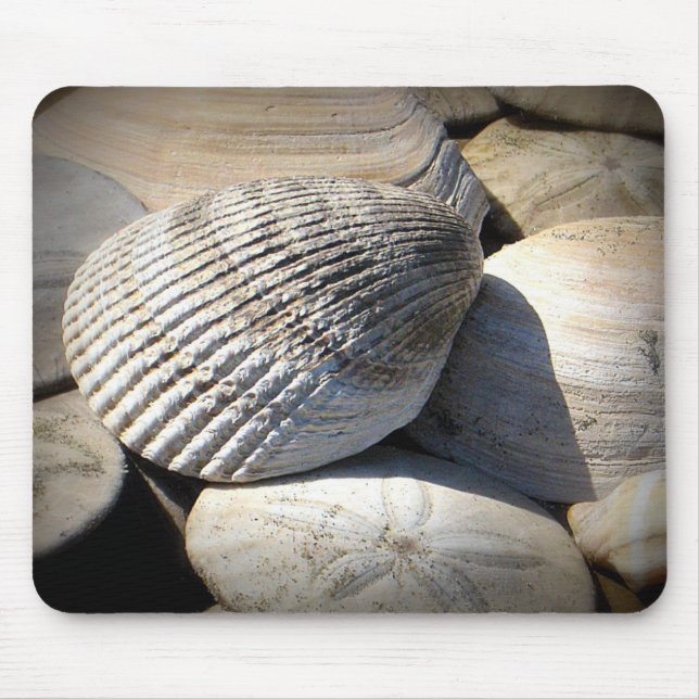 Seashells Mouse Pad (Front)