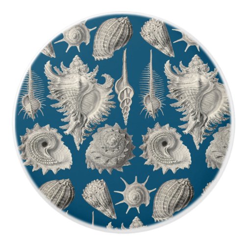 Seashells Nautical Beach Shells Blue White Ceramic Knob