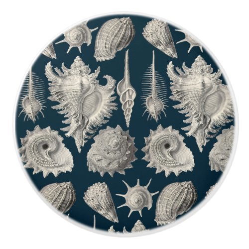 Seashells Nautical Beach Shells Blue White Ceramic Knob