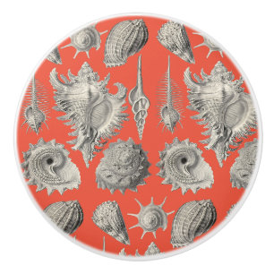 Seashells Nautical Beach Shells Peach White Ceramic Knob