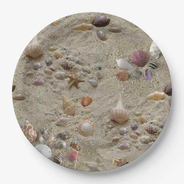 Seashells Nestled in Beach Sand Paper Plates (Front)