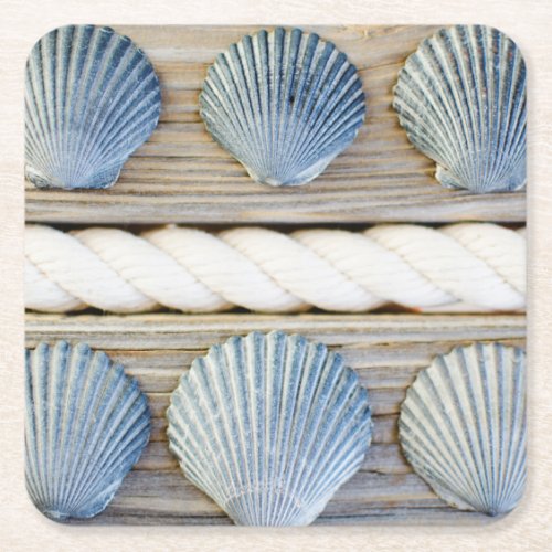 Seashells  New York City Square Paper Coaster