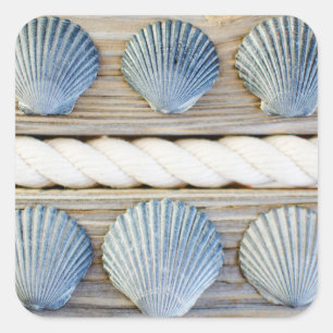 Seashells   New York City Square Sticker