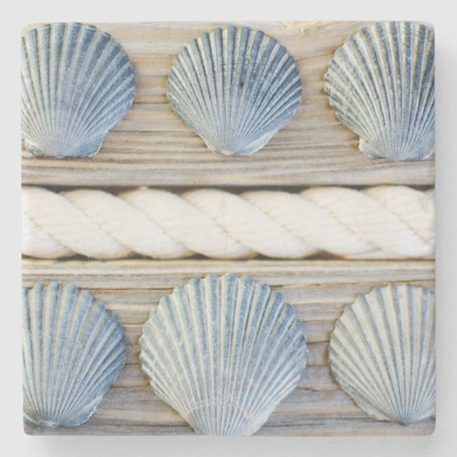 Seashells  New York City Stone Coaster