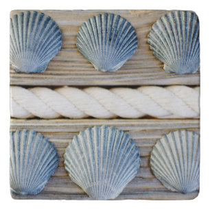 Seashells New York City Trivet