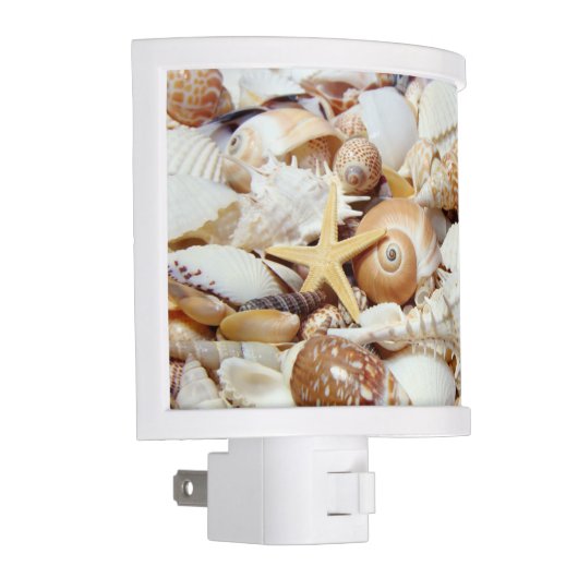 Seashells Night Light (Right)