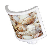 Seashells Night Light (Angled)