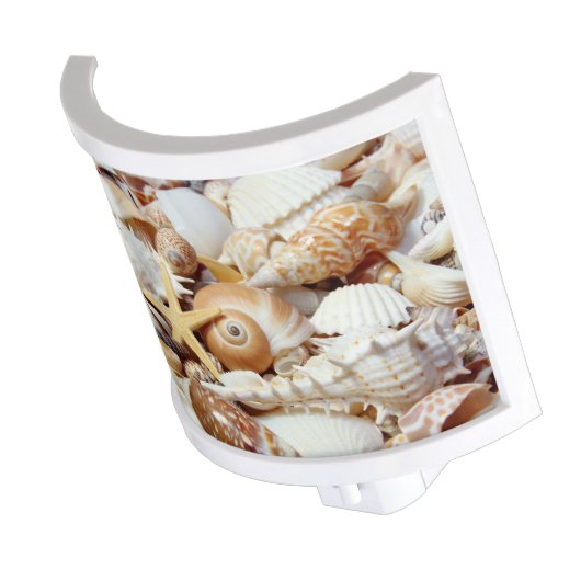 Seashells Night Light (Angled)