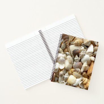 Seashells Notebook Seashells Notebook