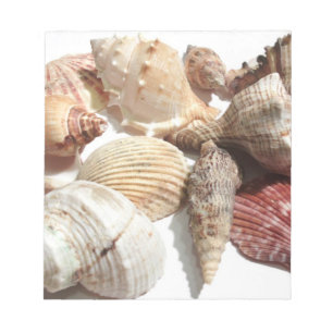 Seashells Notepad