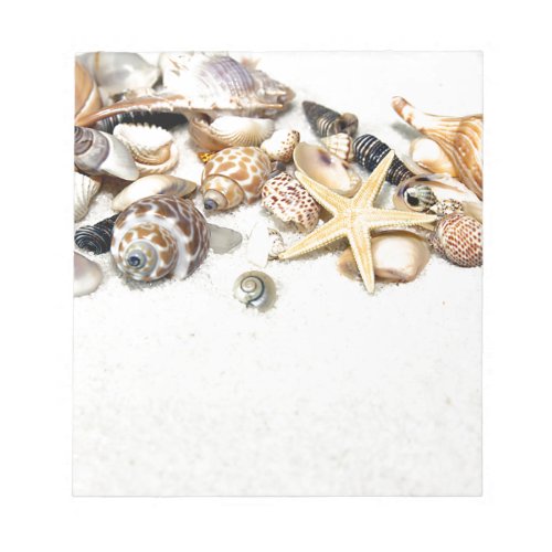 Seashells Notepad