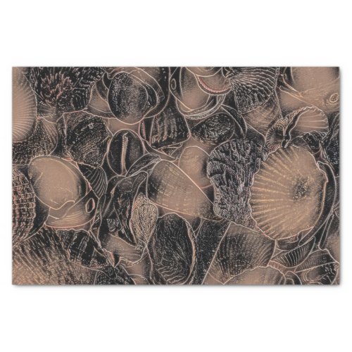 Seashells Ocean Beach Vintage Black Sepia Art Tissue Paper
