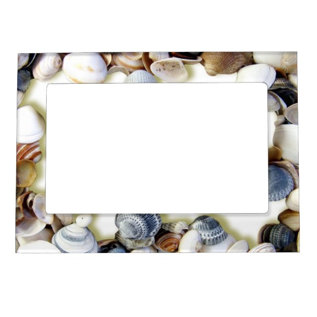 Seashells on a Beach Magnetic Frame (Front)