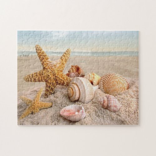 Seashells on a white sandy beach puzzle