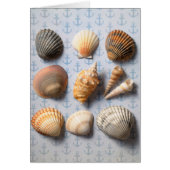 Seashells On Anchor Backdrop (Front)