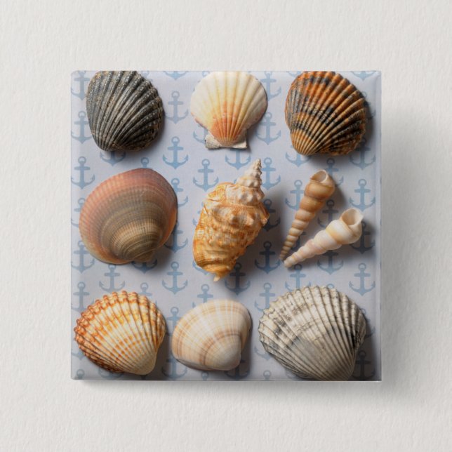 Seashells On Anchor Backdrop Pinback Button (Front)