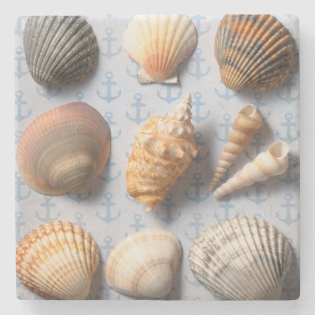 Seashells On Anchor Backdrop Stone Coaster (Front)