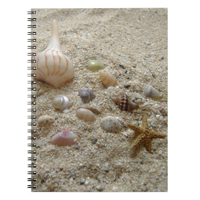 Seashells On Beach Sand Writing Journal (Front)