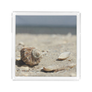 Seashells On Sand By The Sea Acrylic Tray