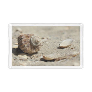 Seashells On Sand By The Sea Acrylic Tray