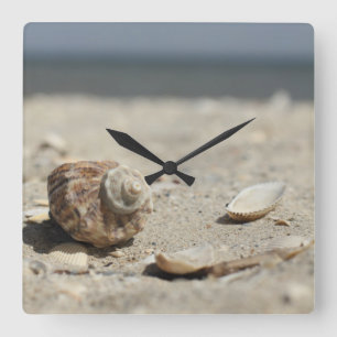 Seashells On Sand By The Sea Square Wall Clock
