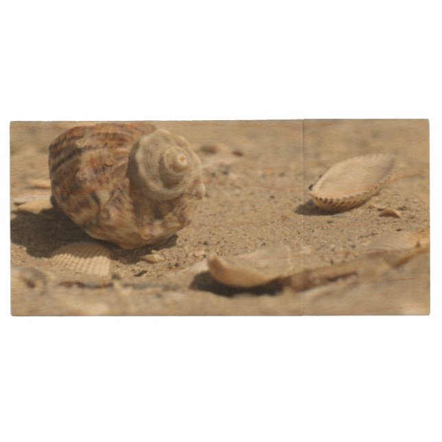 Seashells On Sand By The Sea Wood Flash Drive (Front)