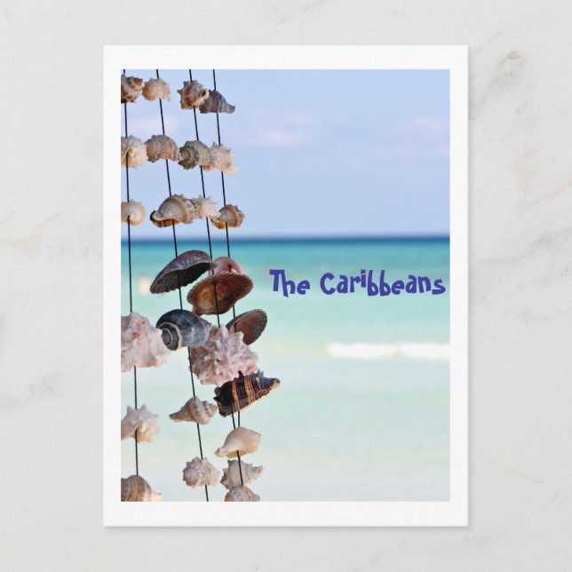 seashells on sea background postcard (Front)