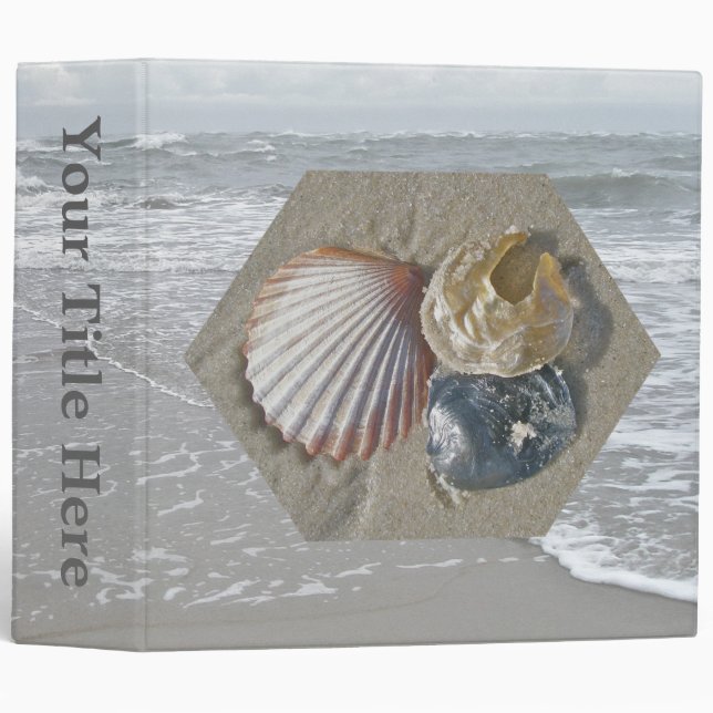 Seashells on the Beach Binder (Front/Spine)