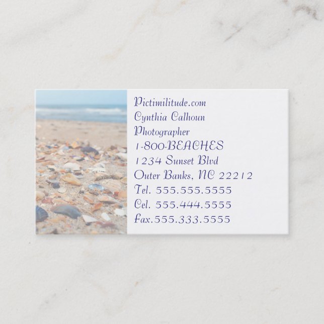 Seashells on the Beach Business Card (Front)