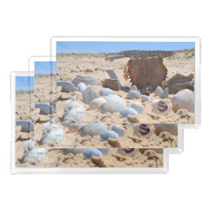 Seashells on the Beach by Shirley Taylor Acrylic Tray