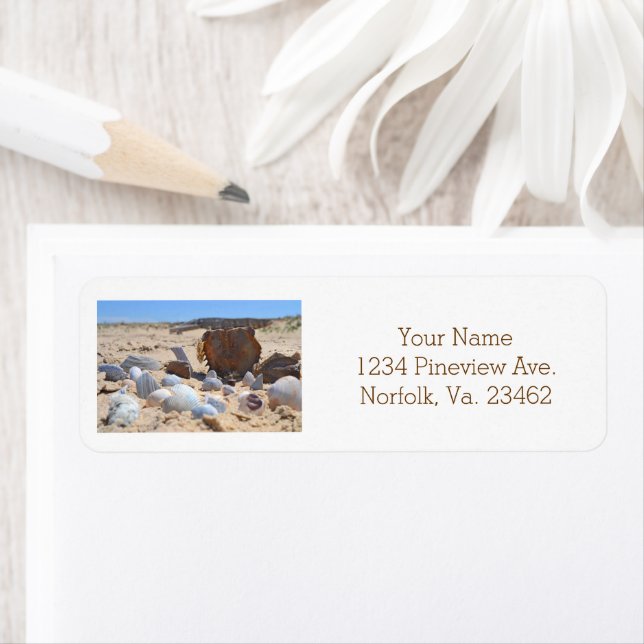 Seashells on the Beach by Shirley Taylor Label (Insitu)