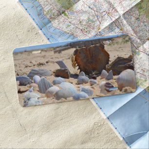 Seashells on the Beach by Shirley Taylor License Plate