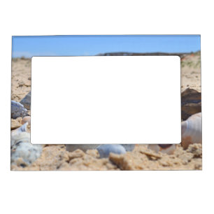 Seashells on the Beach by Shirley Taylor Magnetic Frame
