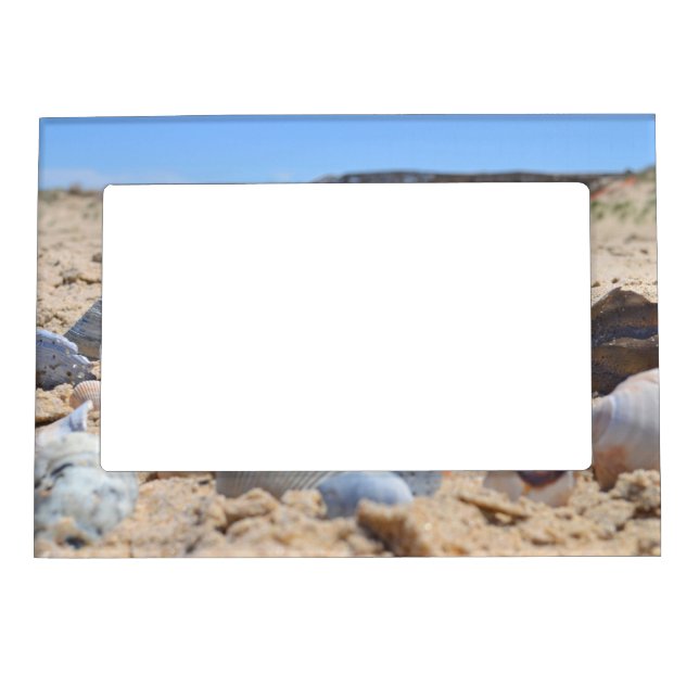 Seashells on the Beach by Shirley Taylor Magnetic Frame (Front)