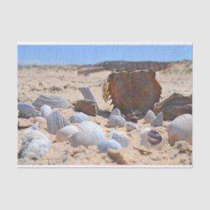 Seashells on the Beach by Shirley Taylor Tissue Paper