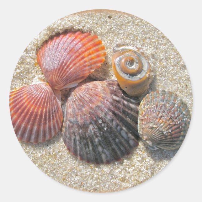 Seashells on the Beach Coordinating Items Classic Round Sticker (Front)