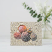 Seashells on the Beach Coordinating Items Postcard (Standing Front)