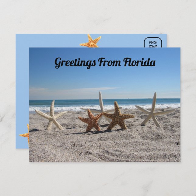 Seashells on the Beach - Florida Life Postcard (Front/Back)