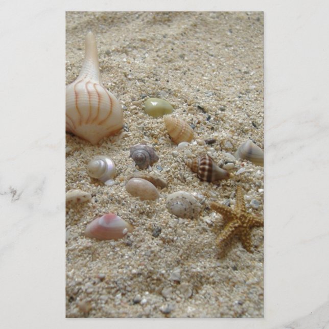 Seashells on the Beach Stationery (Front)