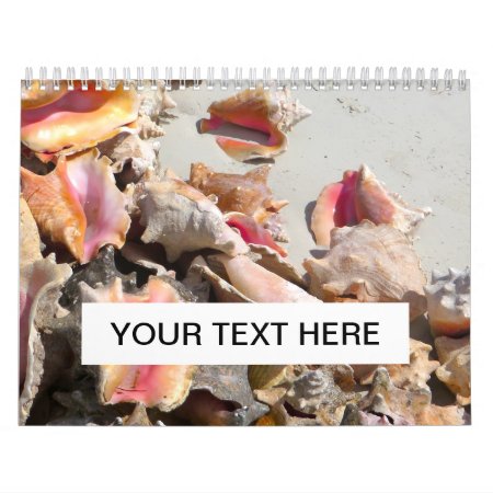 Seashells On The Beach | Turks And Caicos Photo Calendar