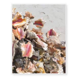 Seashells on the Beach   Turks and Caicos Photo Temporary Tattoos