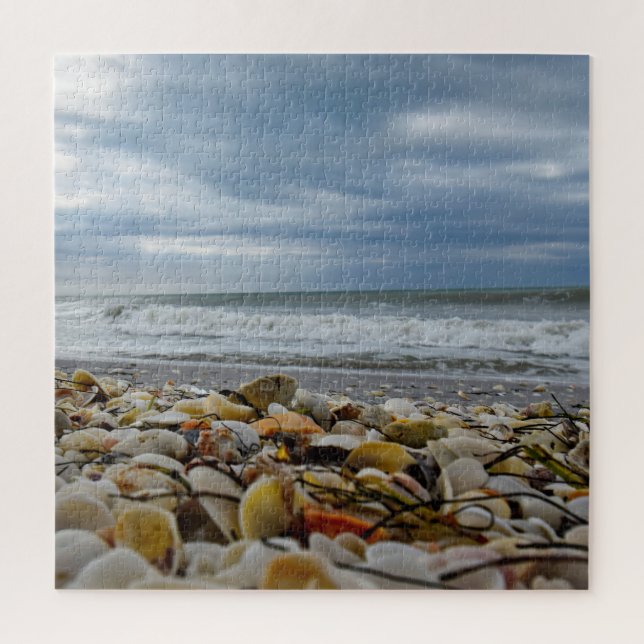 Seashells on the Seashore - 20x20 - 676 pcs Jigsaw Puzzle (Vertical)
